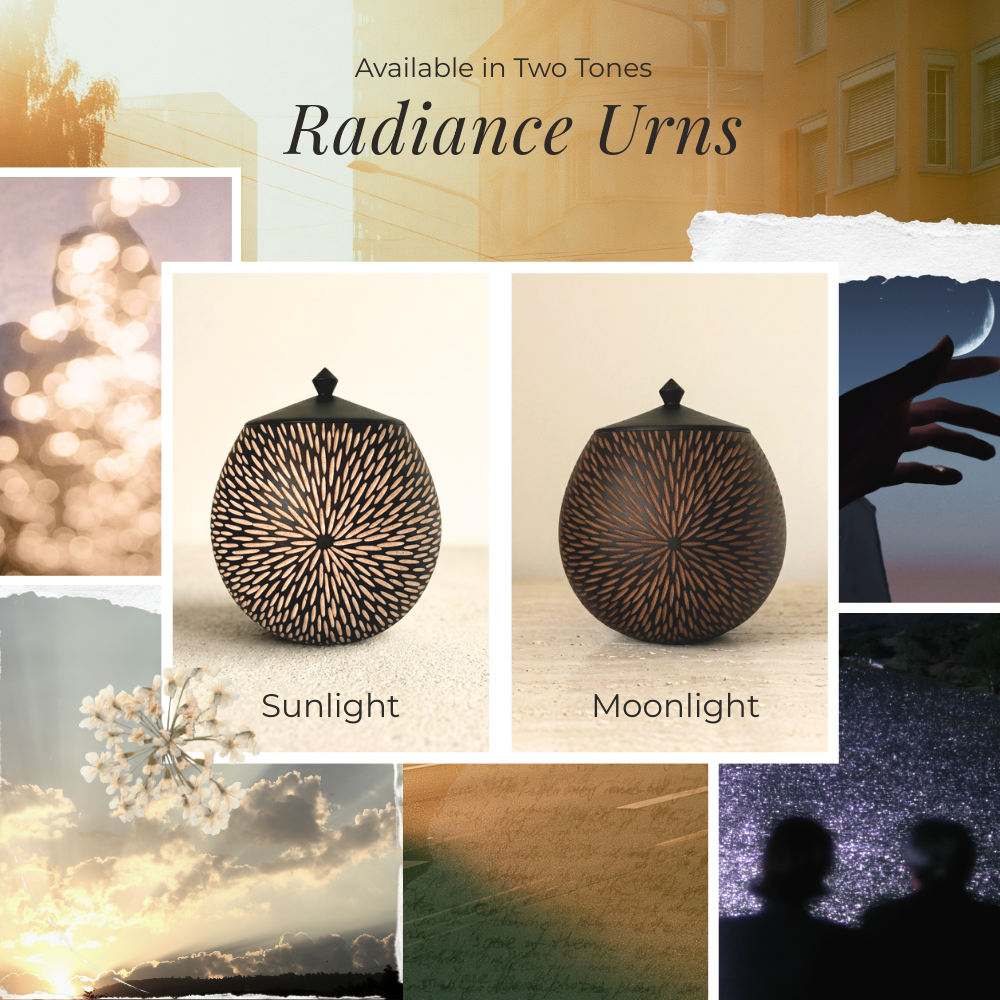 Radiance Sunlight